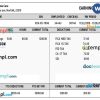 USA VIRGINIA Magnolia Home Care earning statement example in Word and PDF formats