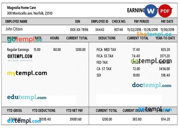 USA VIRGINIA Magnolia Home Care earning statement example in Word and PDF formats