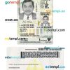 Vermont driver license PSD template, under 21