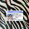 USA Virgina driving license PSD files, scan look and photographed image (version 2)
