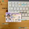 USA Virginia driving license editable PSD files, scan look and photo-realistic look, 2 in 1