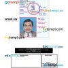 Virginia driver license PSD template, under 21