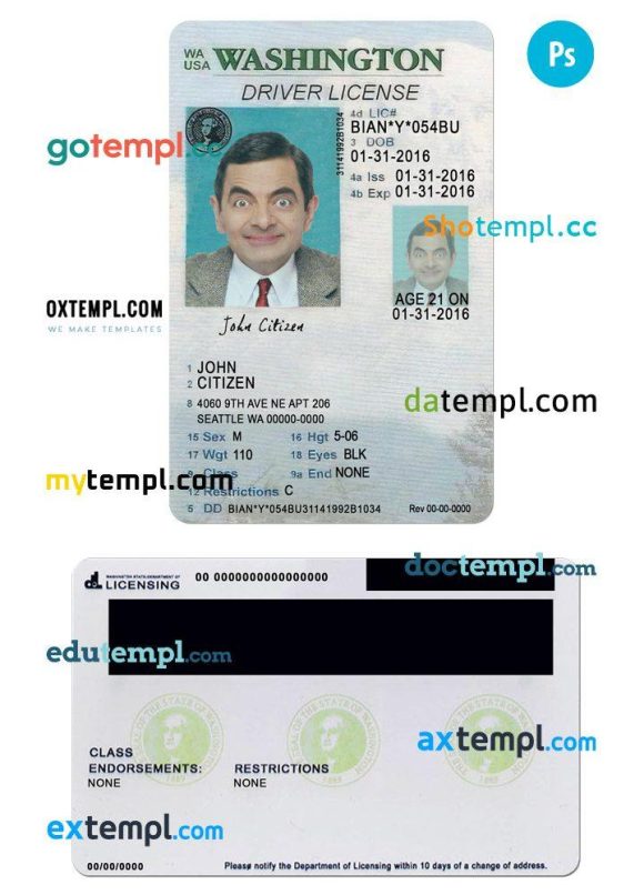 Washington driver license PSD template, under 21