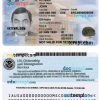 USA employment authorization card PSD example, version 2