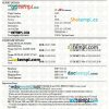 Unified Products and Services, Inc. airplane e-ticket, Word and PDF download template