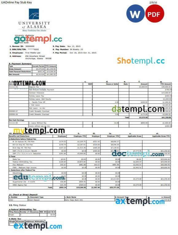 University of Alaska pay stub Word and PDF example