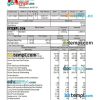 University of New Mexican paystub example in Word and PDF formats