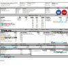 University of North Carolina pay stub Word and PDF example