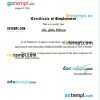Vietnam Appota Corporation certificate of employment Word and PDF download template