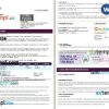 Vistara airplane e-ticket, Word and PDF download template, 3 pages