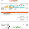 USA Ping An invoice example in Word and PDF (.doc and .pdf) format