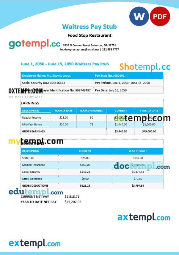 Waitress Pay Stub Word and PDF example