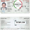 Bahrain driver license PSD template