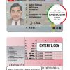 Swiss driver license PSD template