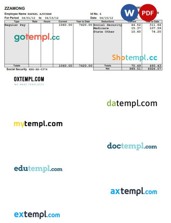 Zzamong company pay stub example in PDF and Word format