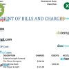 bank statement of bills and charges, Excel and PDF template