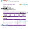 Construction pay stub Word and PDF example