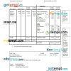 Corporation pay stub Word and PDF example