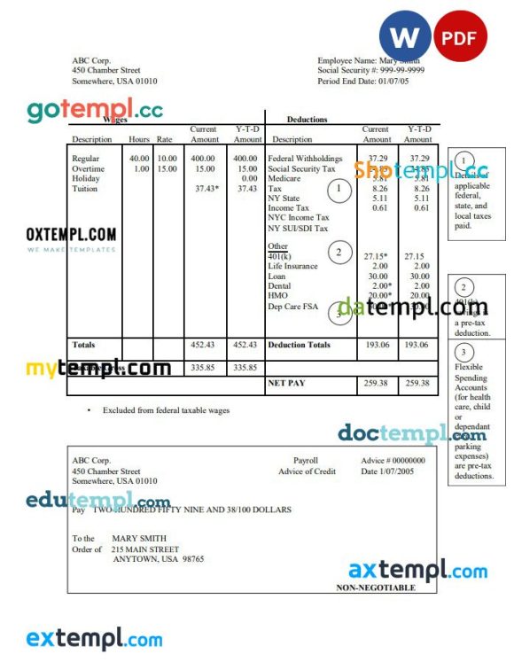 Corporation pay stub Word and PDF example