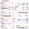 digital publishing company paystub example in Word and PDF formats