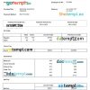 domain name registration company payslip example in Word and PDf formats