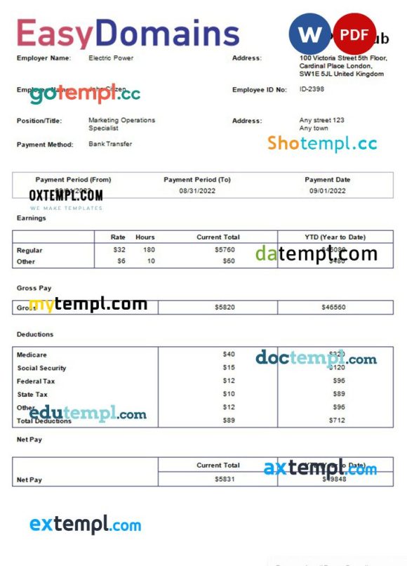 domain name registration company payslip example in Word and PDf formats