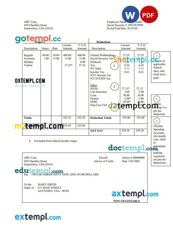 Employee hourly pay stub Word and PDF example