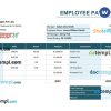 Employee pay stub Word and PDF example, version 5