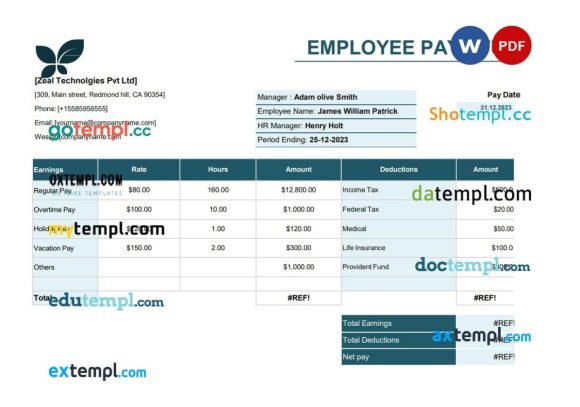 Employee pay stub Word and PDF example, version 5