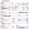 fast fashion company payslip example in Word and PDF formats
