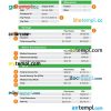 Financial avenue pay stub Word and PDF example