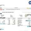 food company earning statement example in Word and PDF formats
