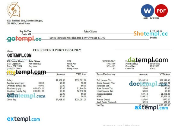 food company earning statement example in Word and PDF formats