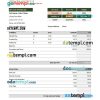 food meat company earning statement example in Excel and PDF formats