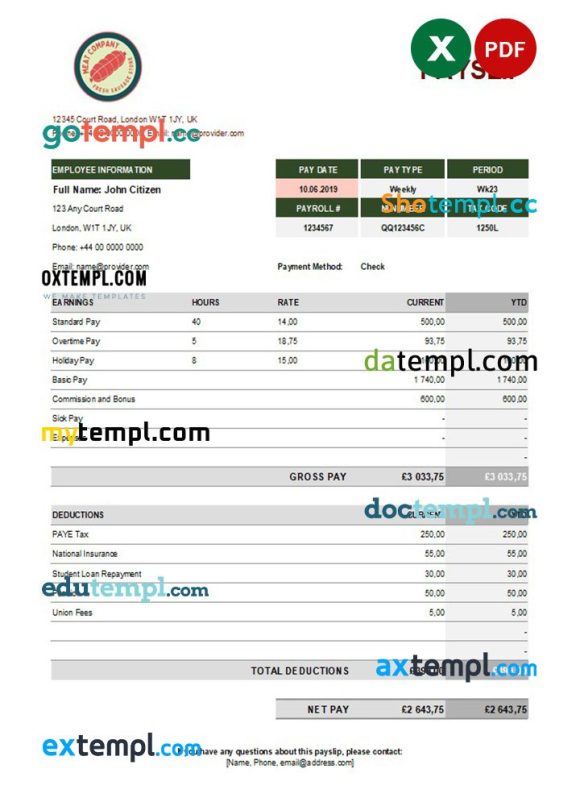 food meat company earning statement example in Excel and PDF formats