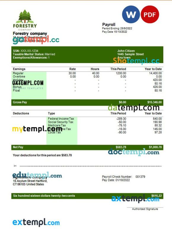 forestry company payslip example in Word and PDF formats