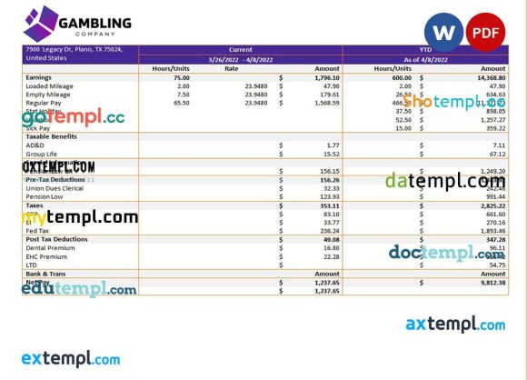 gambling company pay stub example in Word and PDF formats