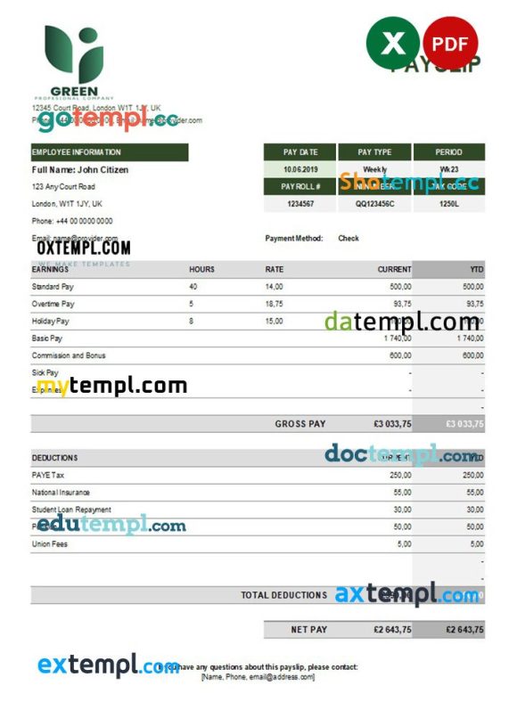 green industry earning statement example in Excel and PDF formats