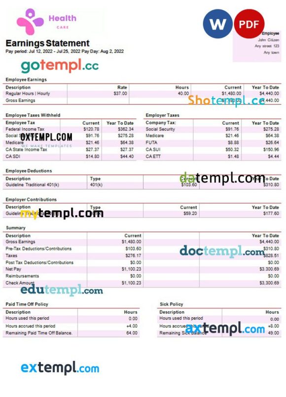 health services company paystub example in Word and PDF formats