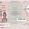 Guinean driver license PSD template