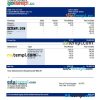 hospital company earning statement example in Word and PDF formats