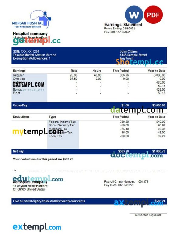 hospital company earning statement example in Word and PDF formats