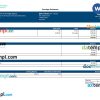 information technology company paystub example in Word and PDF formats