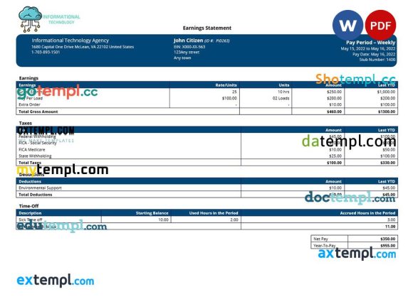 information technology company paystub example in Word and PDF formats