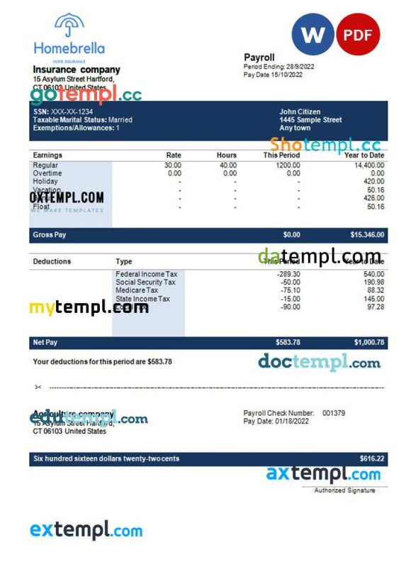 insurance company fully editable earning statement example in Word and PDF formats