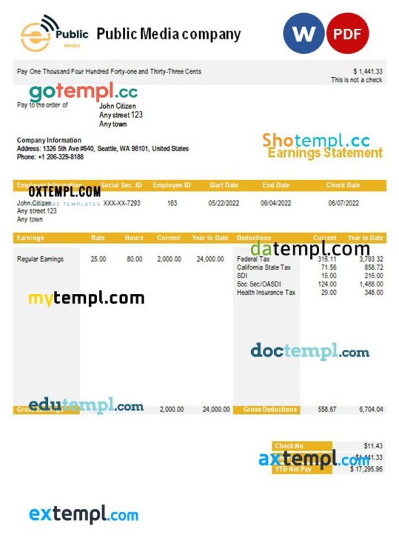 public media company earning statement example in Word and PDF formats