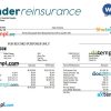 reinsurance company payroll example in Word and PDF formats