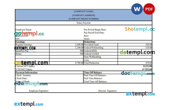 Salary pay stub example in Word and PDF example, version 2
