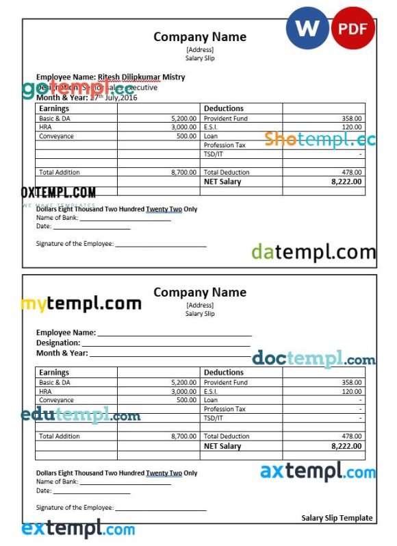 Senior sales executive salary slip Word and PDF example