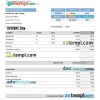 telecommunications corporation earning statement in Excel and PDF formats